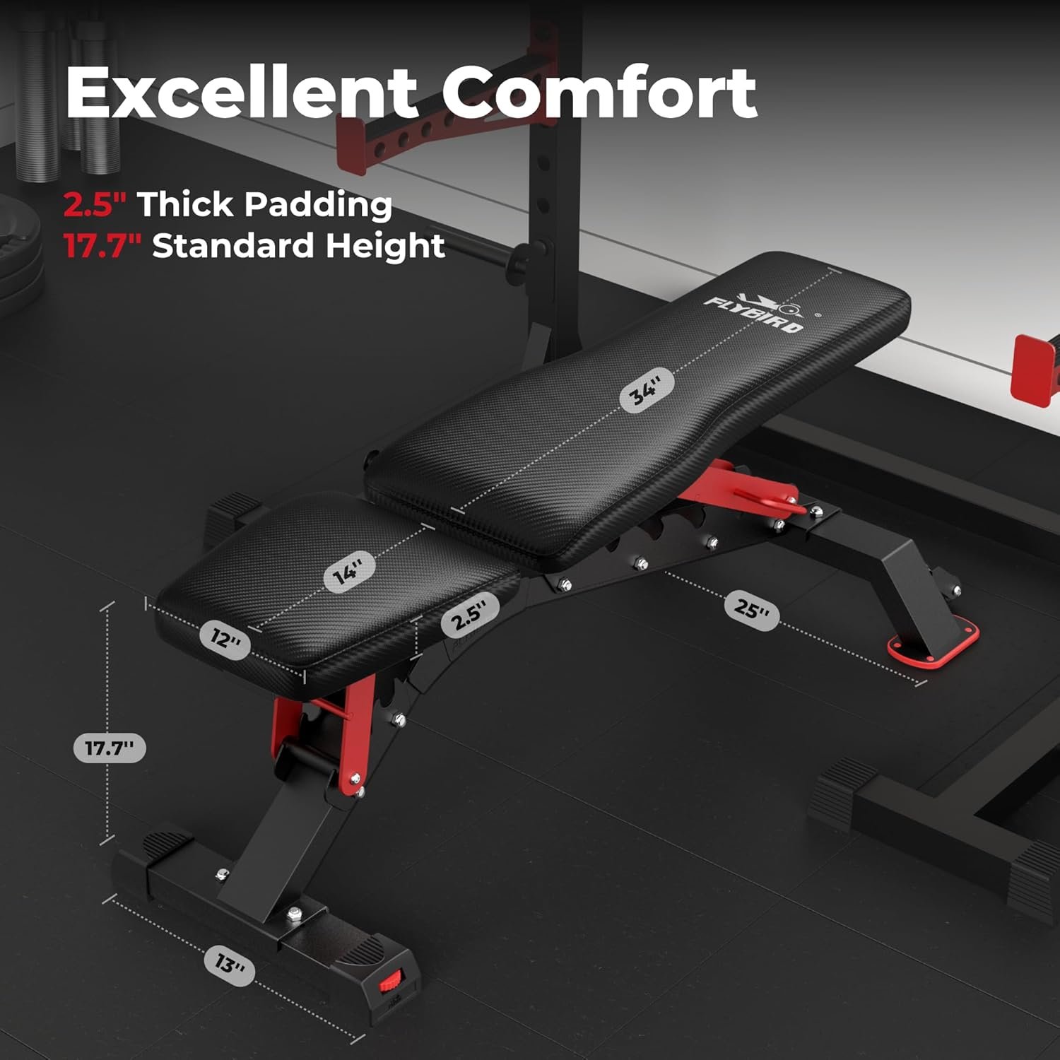 Heavy-duty Strength Training Bench Review